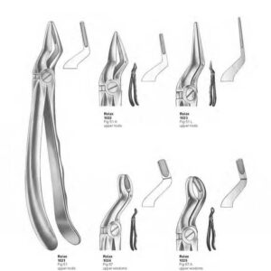 D005 Dental Extracting Forceps English Pattern uppder wisdoms