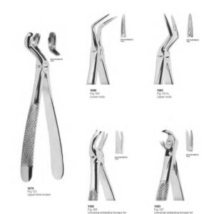 D015 Dental Extracting Forceps English Pattern upper canines lower canines upper roots lower roots universal