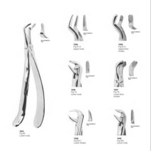 D020 Dental Extracting Forceps with anatomically shaped handle upper molars right left