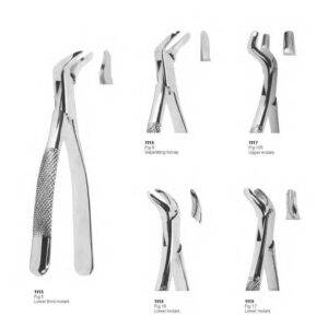 D022 Dental Extracting Forceps American Pattern lower third molars upper molars seprating forceps