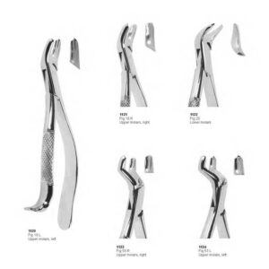 D023 Dental Extracting Forceps American Pattern upper molars lower molars