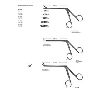 G308 Rongeurs Weil Blakesley Takahashi
